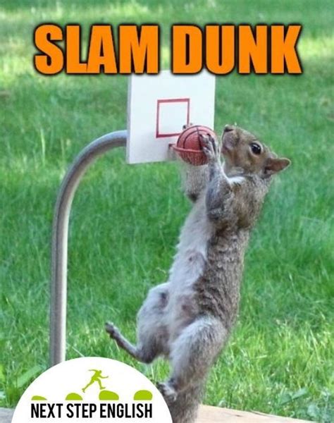 dunk meaning slang.